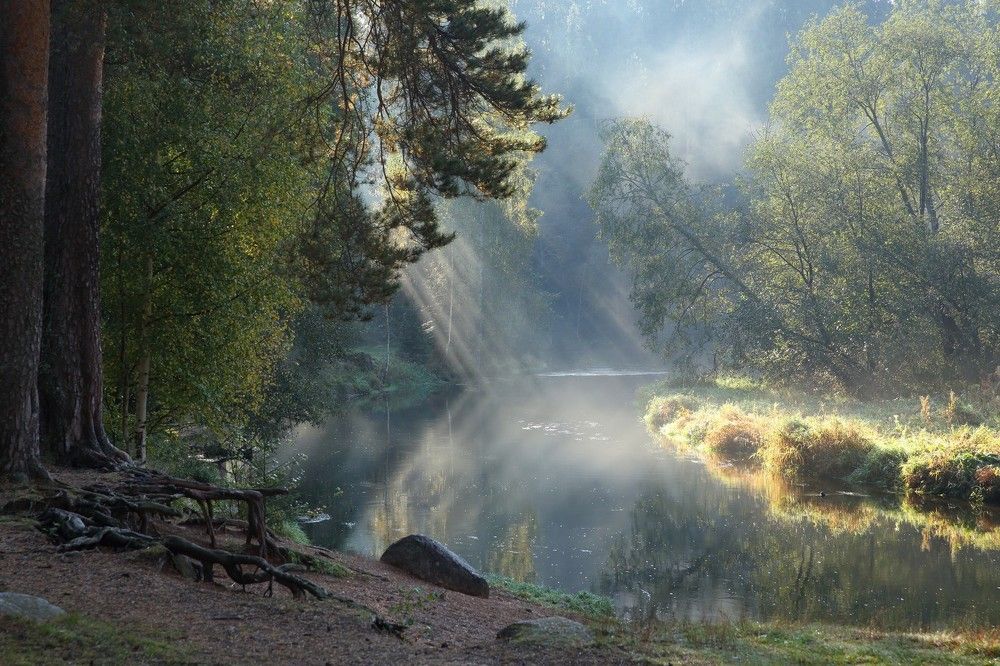 Photograph by Илья Савицкий