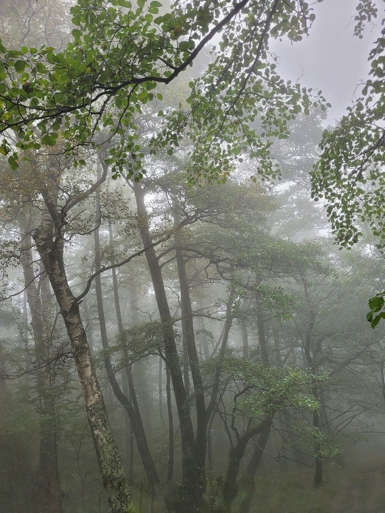 Photograph by Catherine Walter-Prêtre