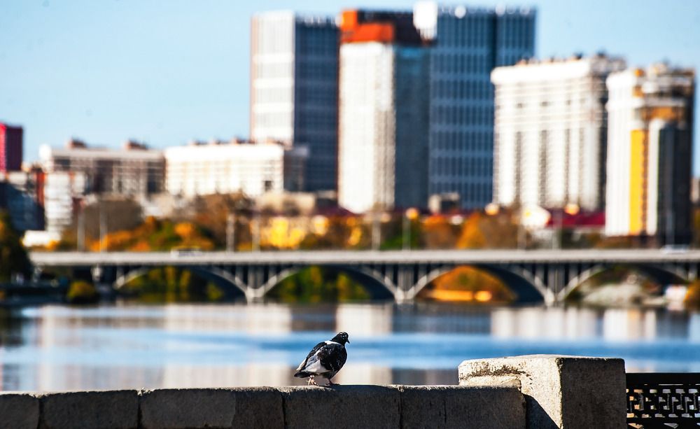 Photograph by Алексей Патрушев