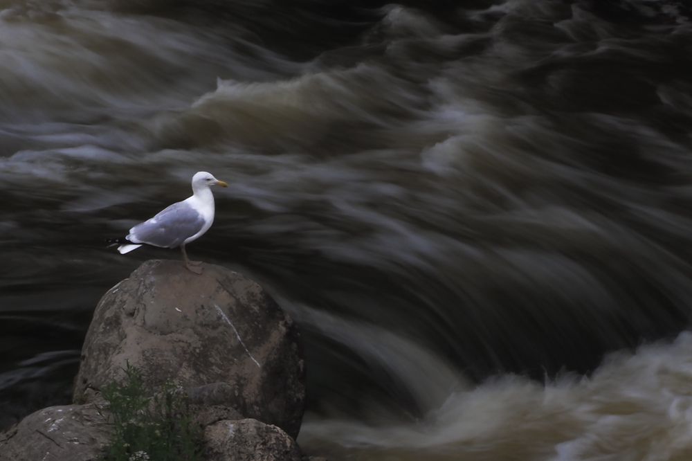 Photograph by Irina Ebral