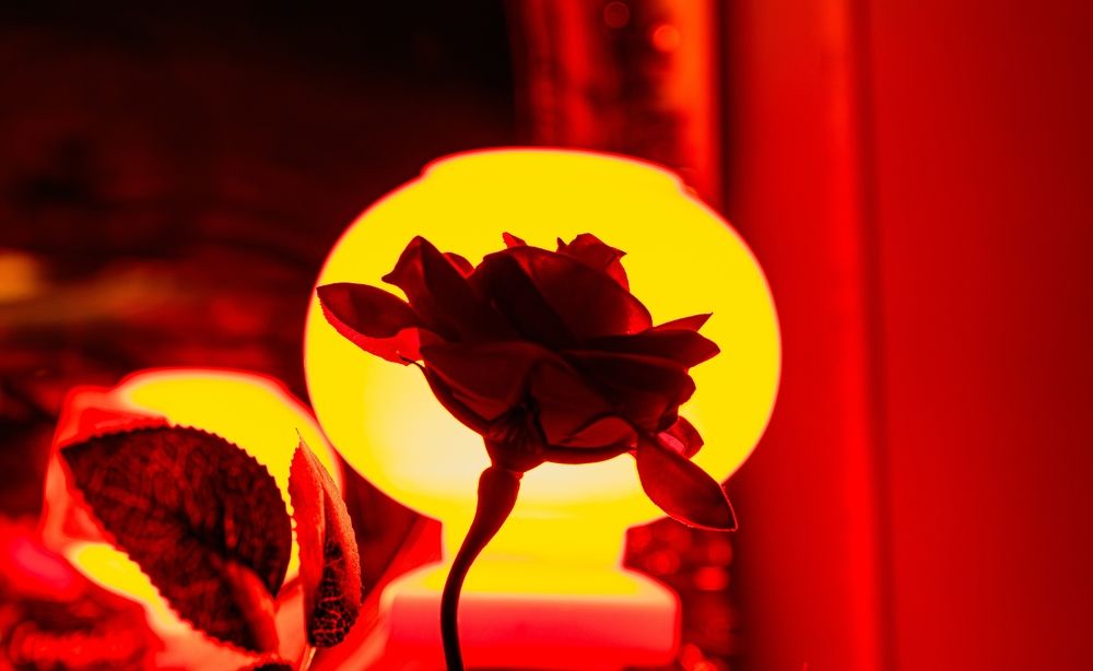 Photograph by Виктория Федосеенко