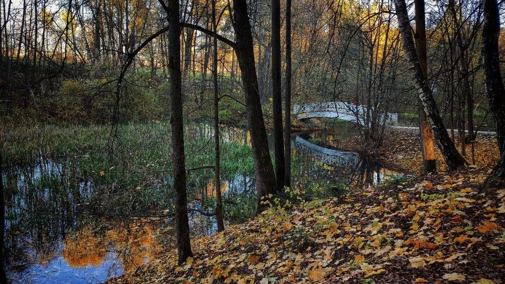 Photograph by Надежда