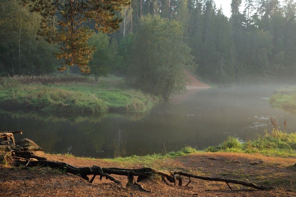 Осенний туман на р.Оредеж