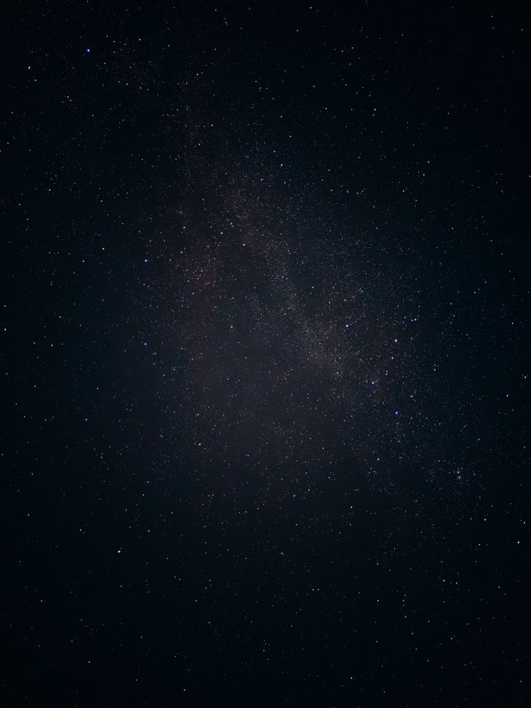 Photograph by Алиса Нежинская