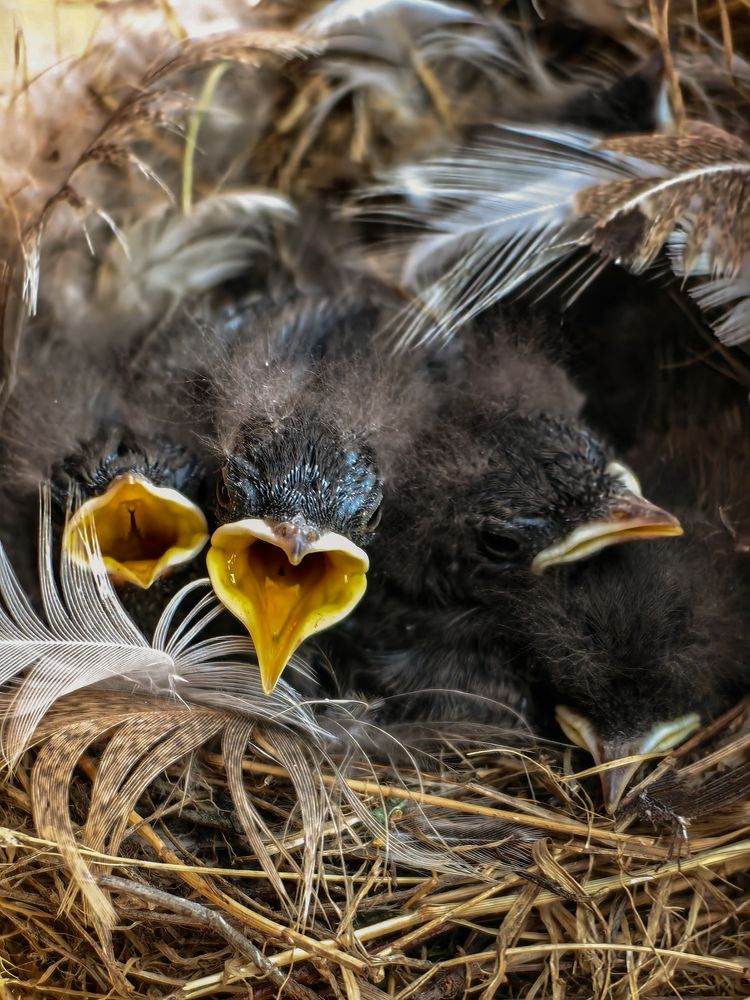 Фотография автора Ольга Панасюк