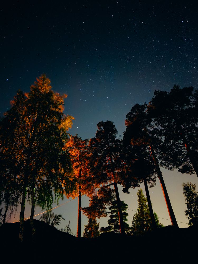 Photograph by Алиса Нежинская