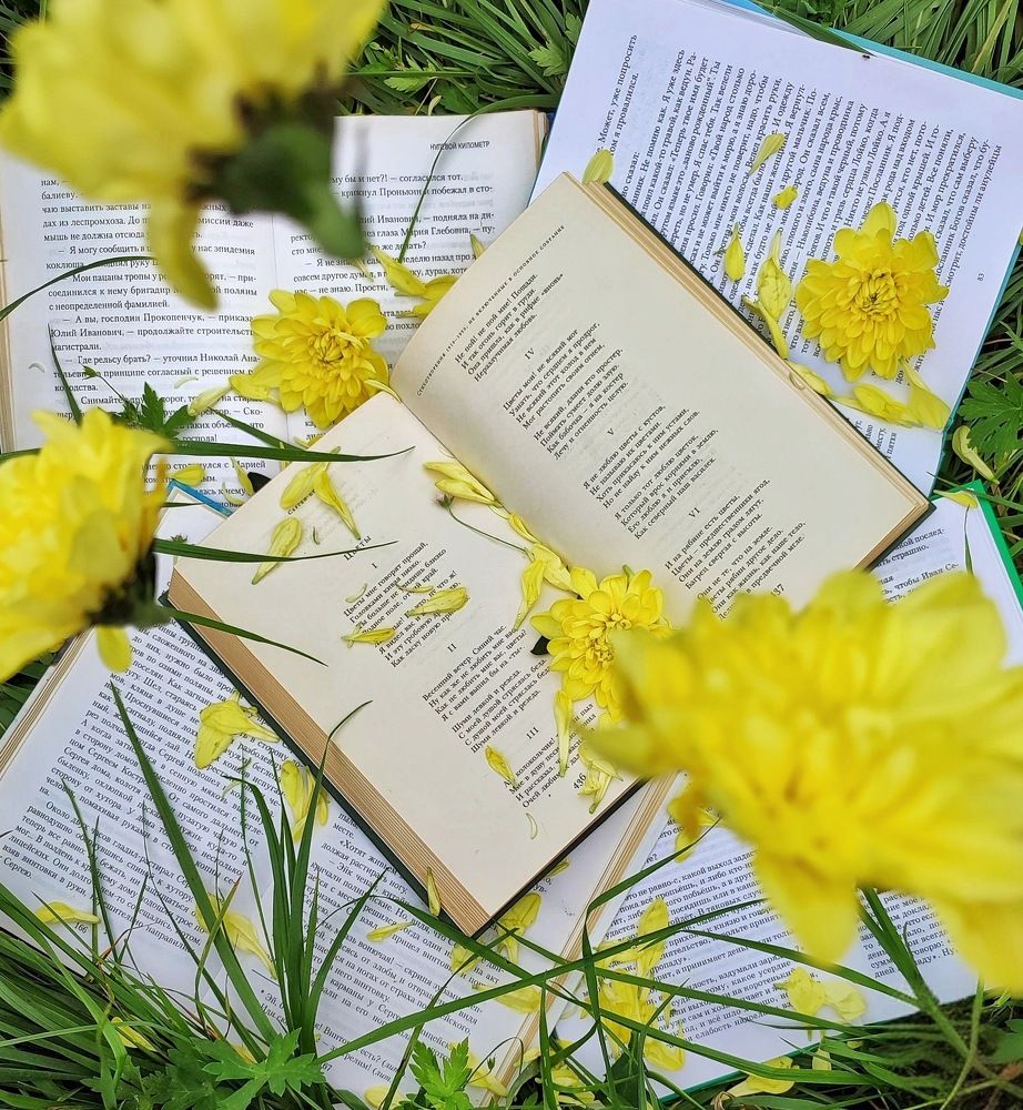 Photograph by Дина Желанова