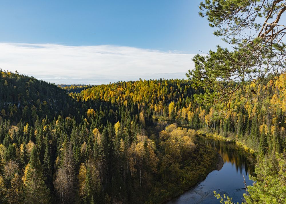 Золото севера