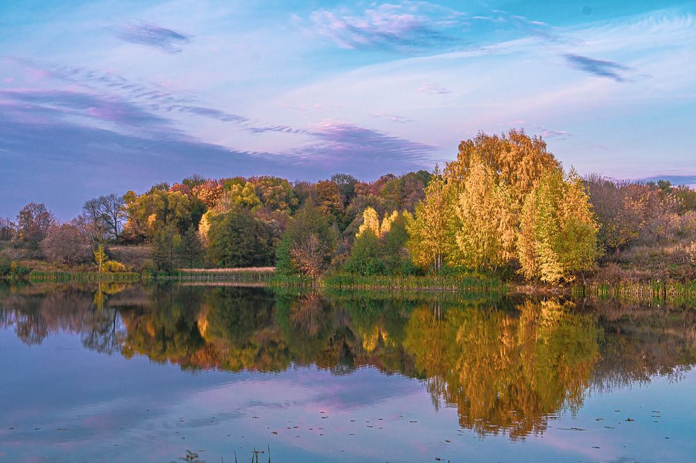 Фотография автора Николай Бологов