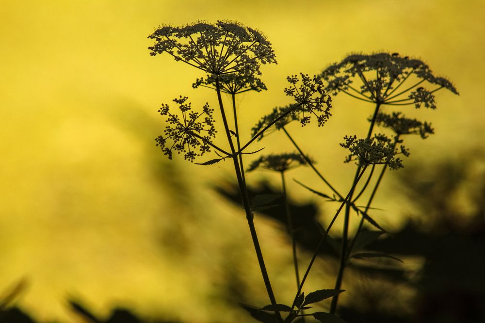 Photograph by Aleksandra