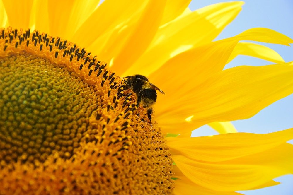 Фотография автора Альбина Хвастунова