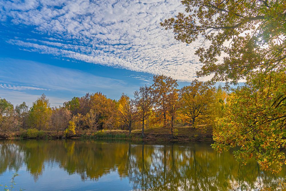 Фотография автора Николай Бологов