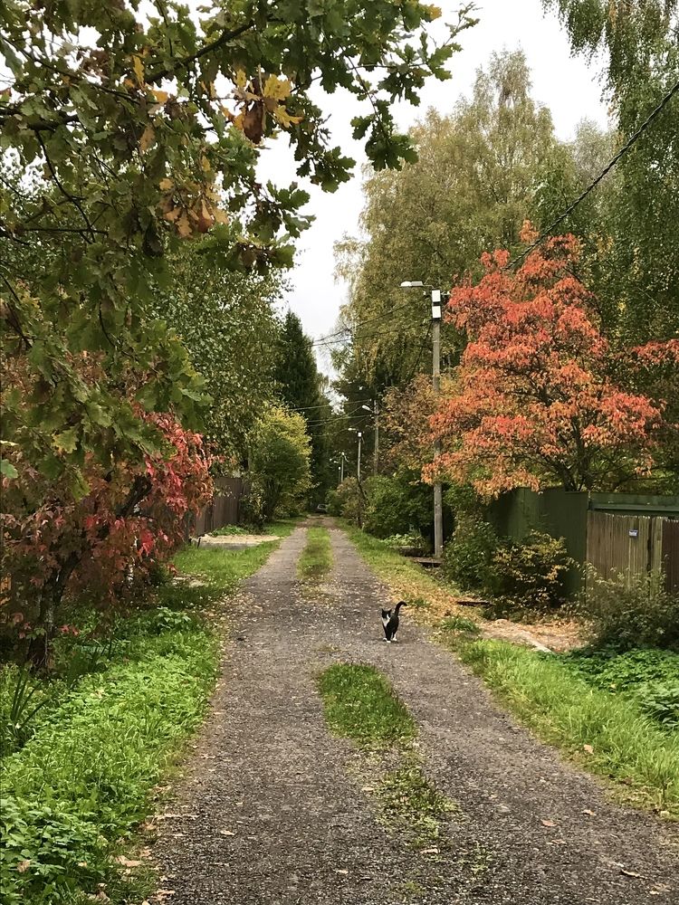 Photograph by Надежда Ткаченко