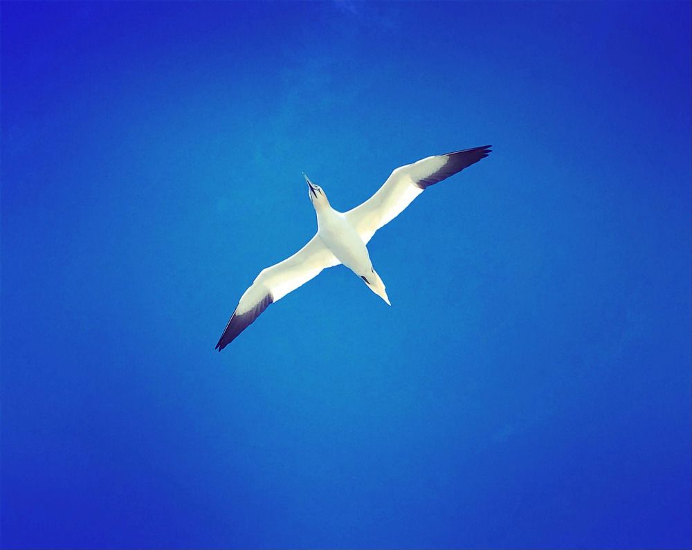 Photograph by Ольга Желтова