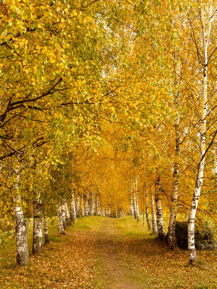 Photograph by Наталья Колеватова