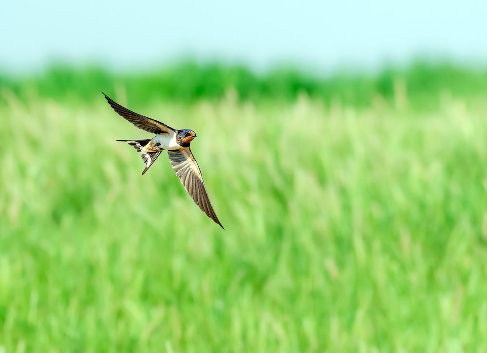 Фотография автора Sajeev Krishnan