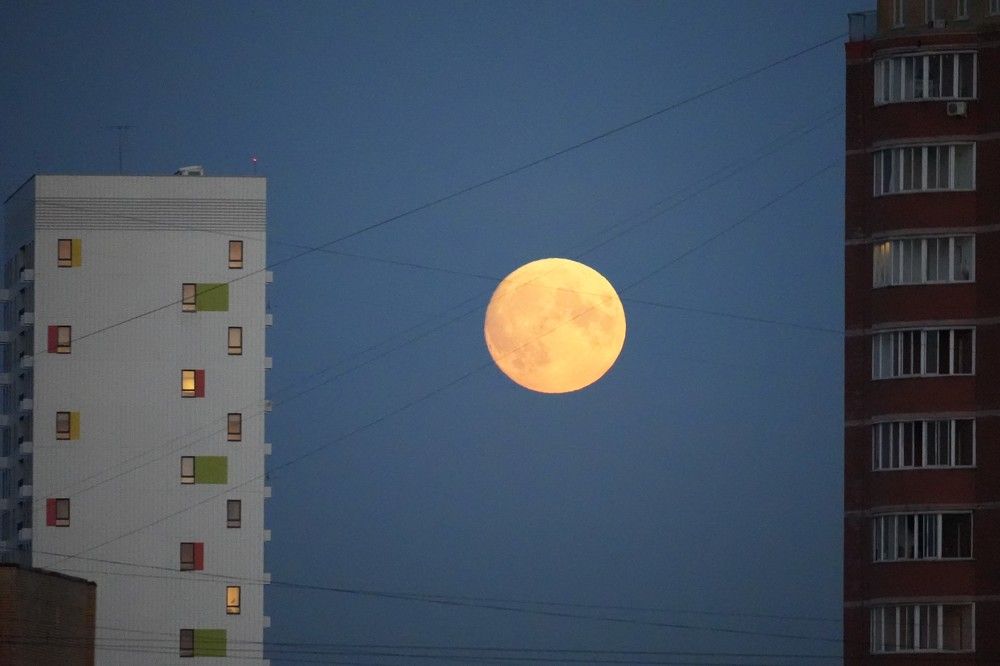 Photograph by Михаил Трусов