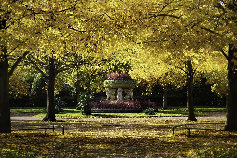 Фотография автора Оксана Мерзликина