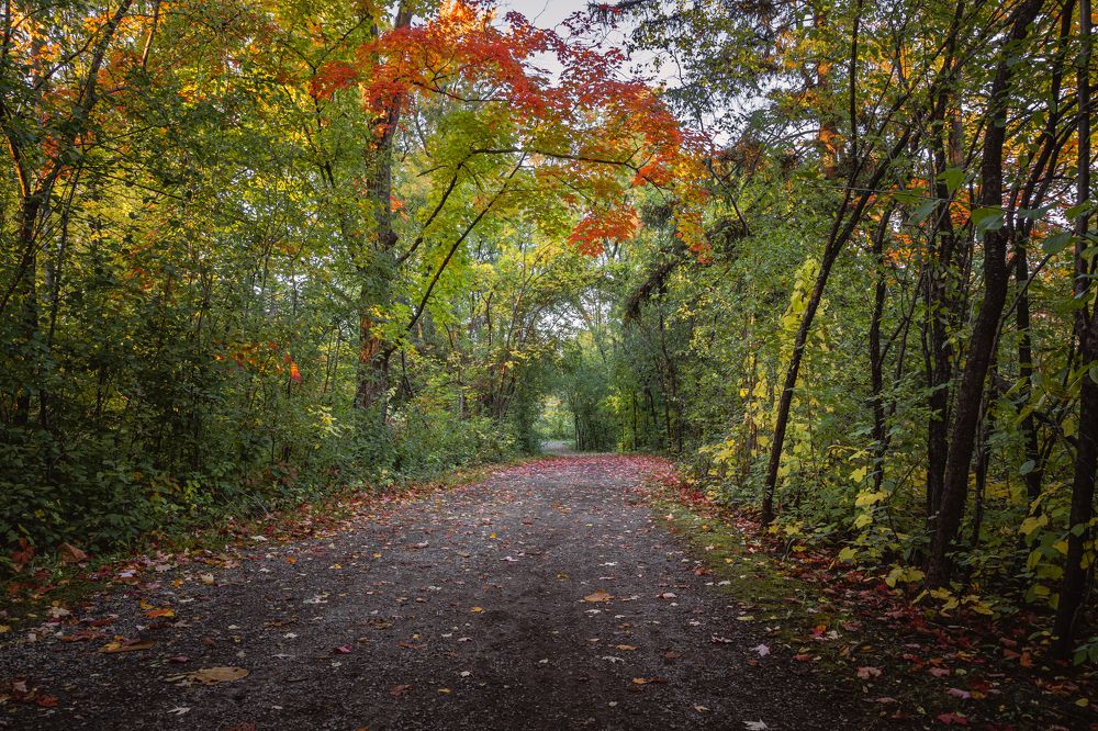 Photograph by Jack Bespalove