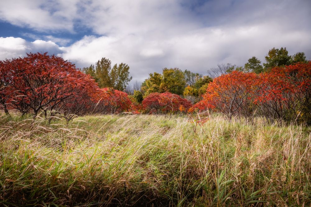 Photograph by Jack Bespalove