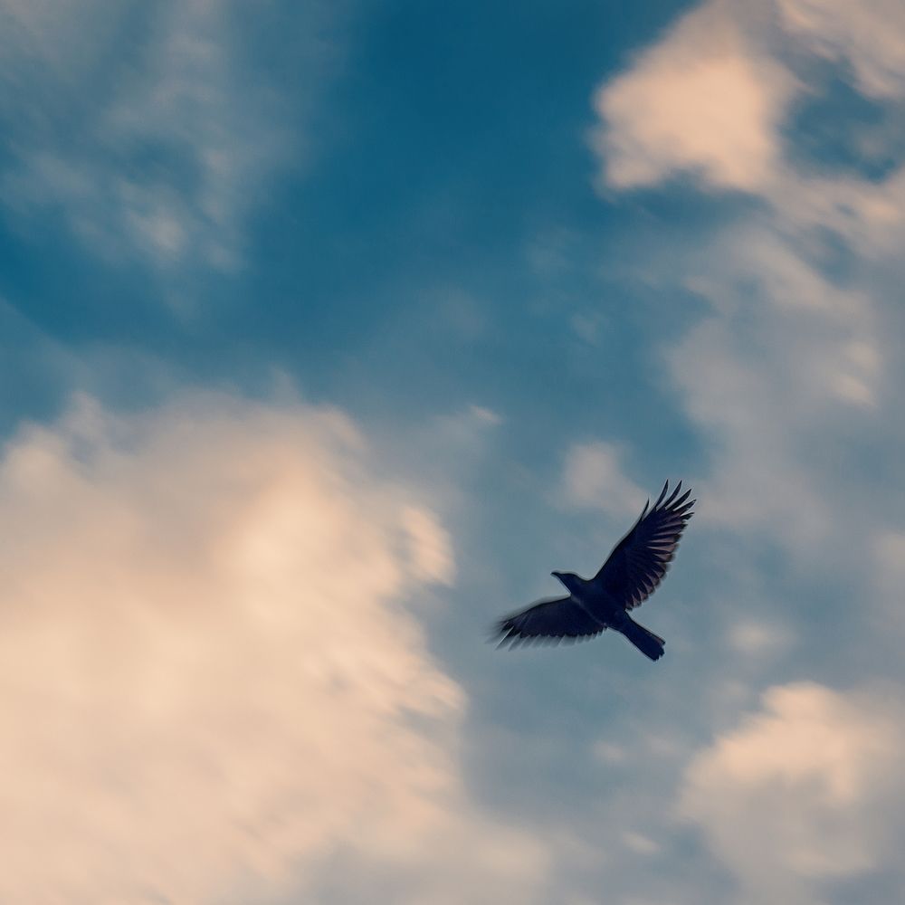 Photograph by Maryam Jassim