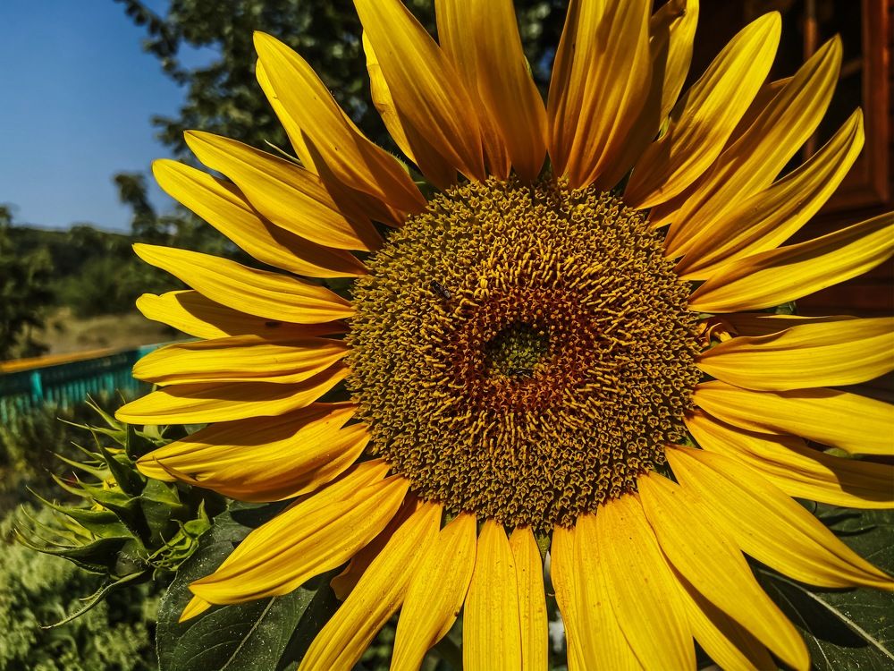 Photograph by Анна Леонова