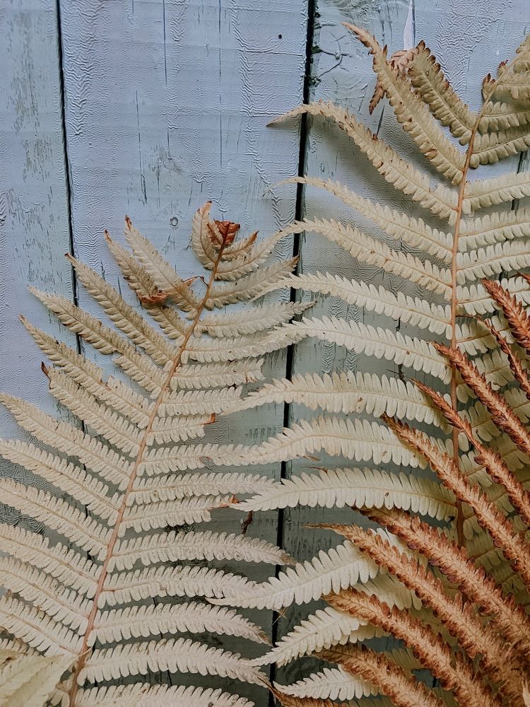 Photograph by Анна Леонова