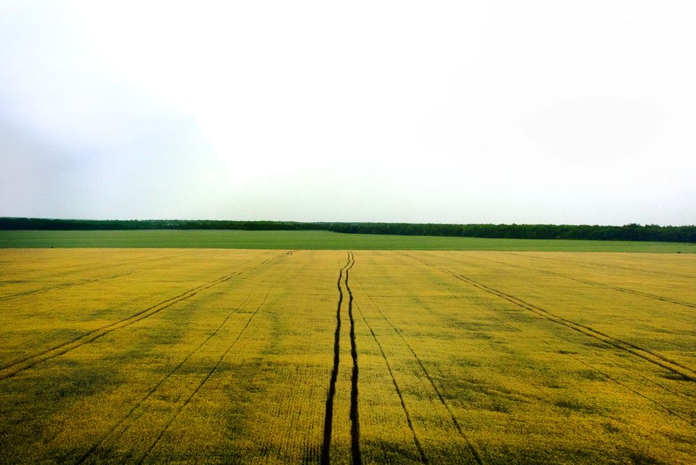 Photograph by Мария Покотилова