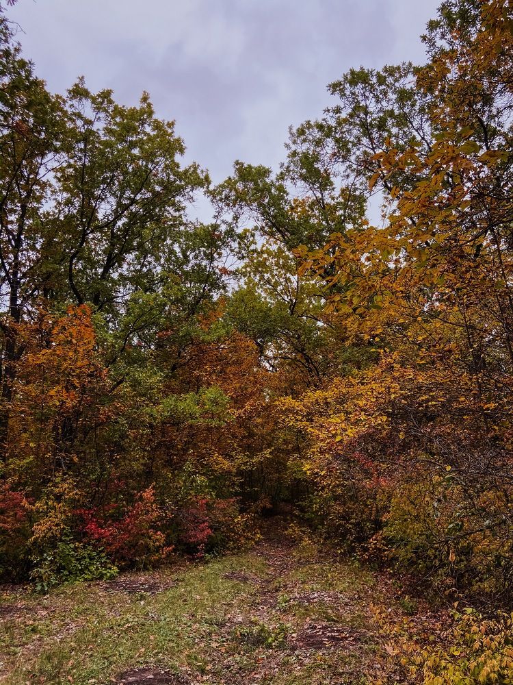 Photograph by Анна Леонова