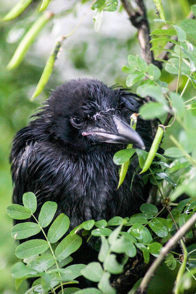 Photograph by Мария Покотилова