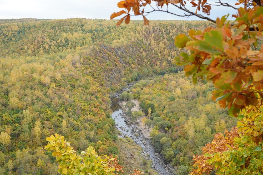 Photograph by Гордеева Светлана