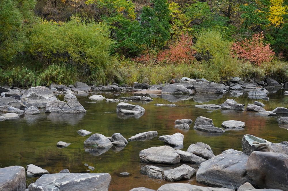 Photograph by Гордеева Светлана