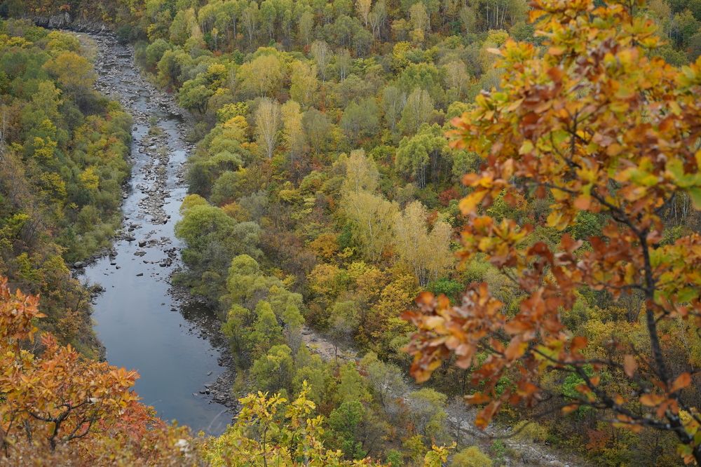 Photograph by Гордеева Светлана