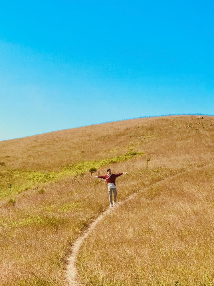 Фотография автора Hao Luan