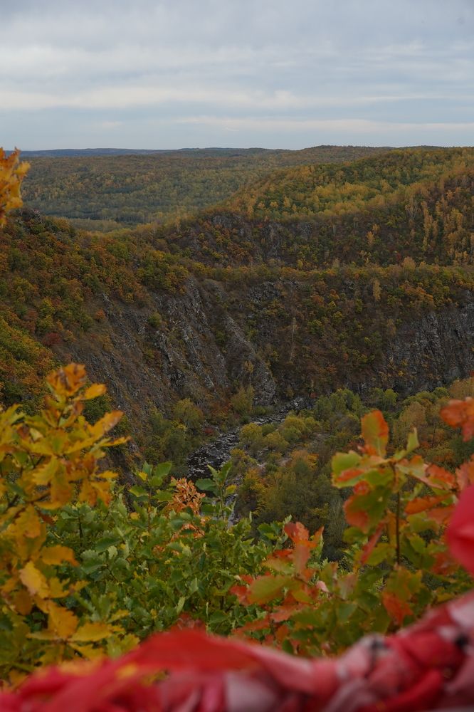 Photograph by Гордеева Светлана