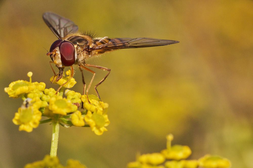 Photograph by Игорь Зиновьев