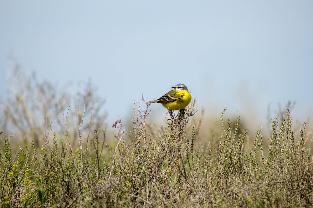 Photograph by Мария Покотилова