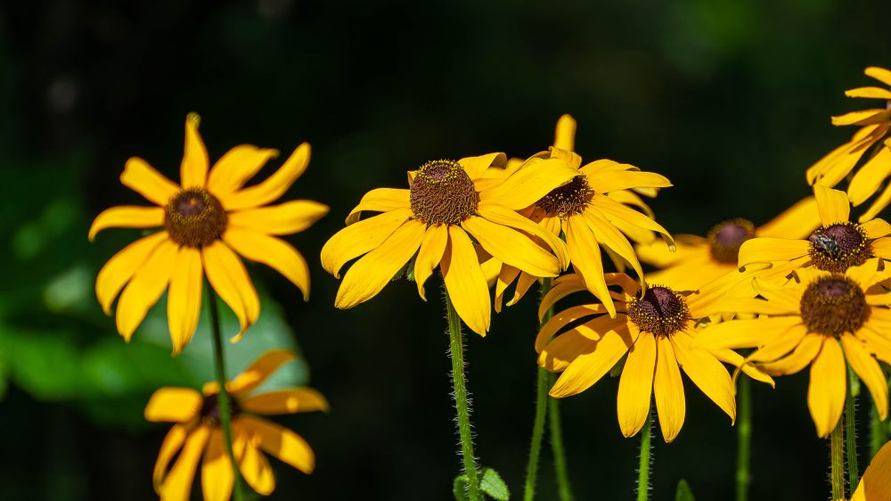 Photograph by Вадим Басов