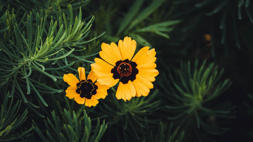 Photograph by Вадим Басов