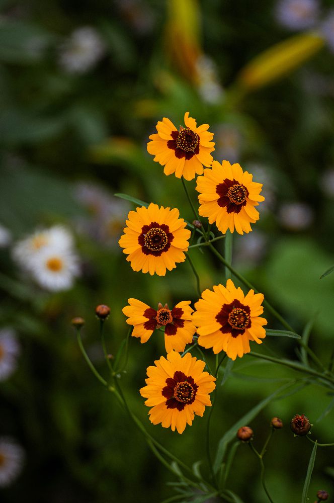 Photograph by Вадим Басов