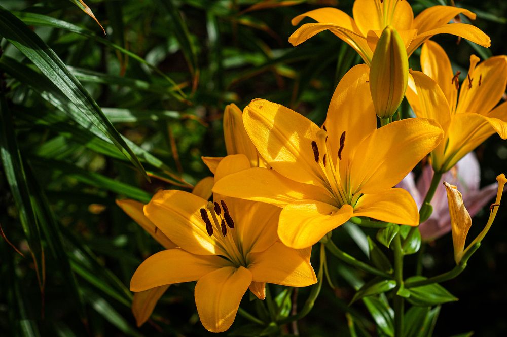 Photograph by Вадим Басов