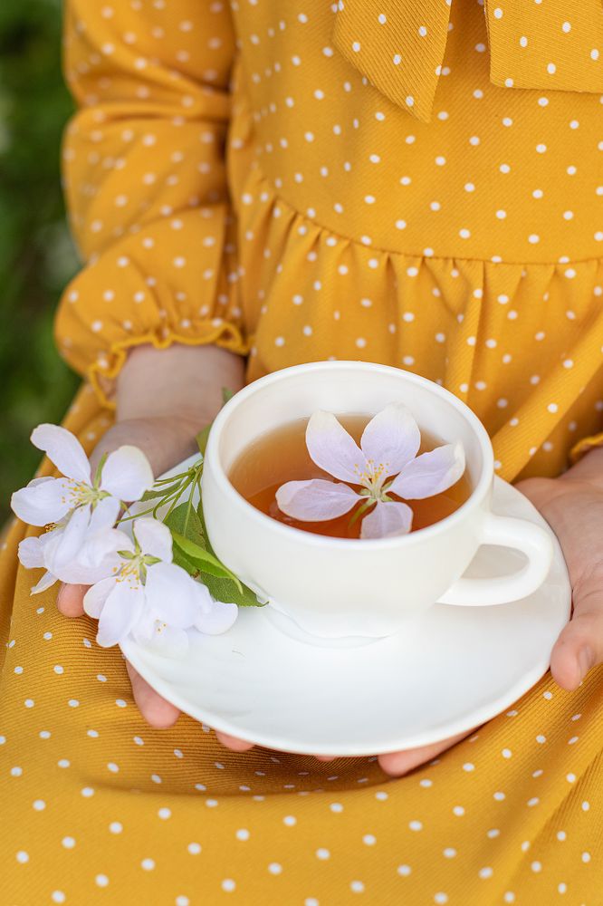 Фотография автора Светлана Дроголюбова