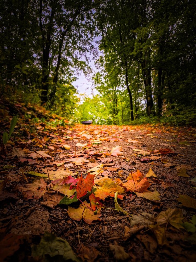 Photograph by Ljudmilla Pavljutsenkova