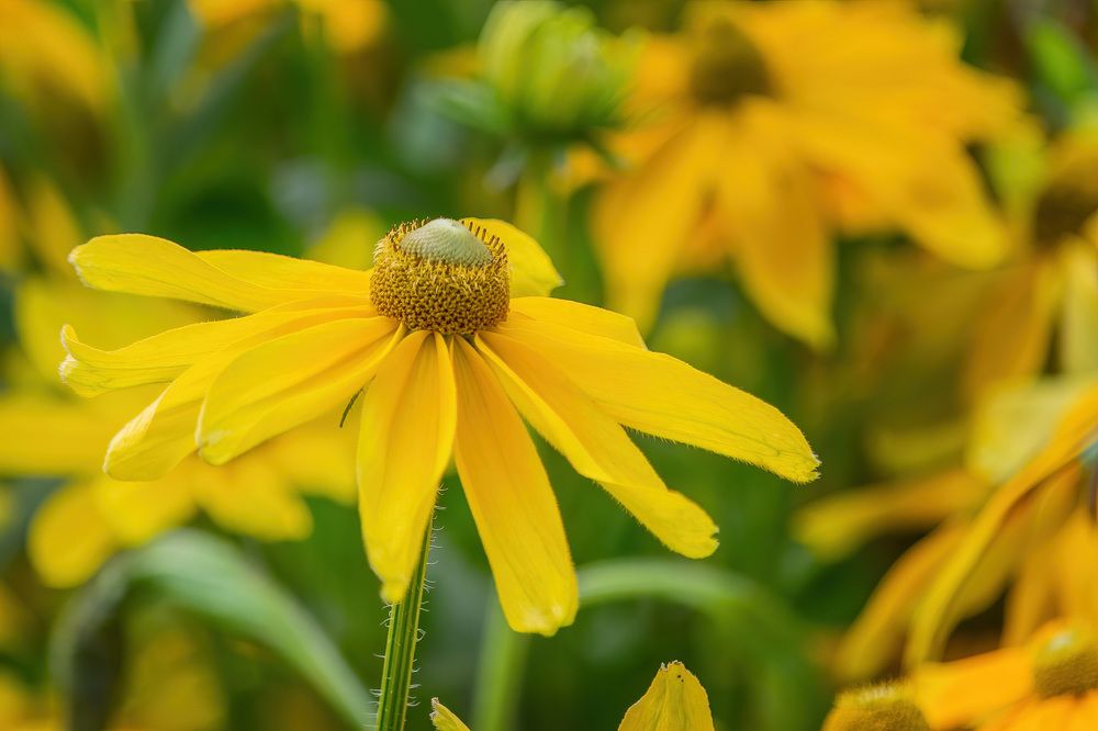 Photograph by Tatiana Alieva