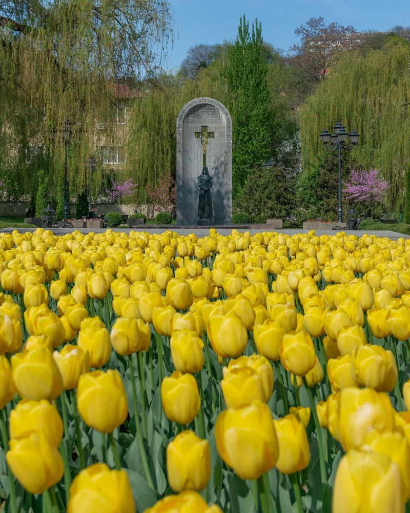 Photograph by Tatiana Alieva