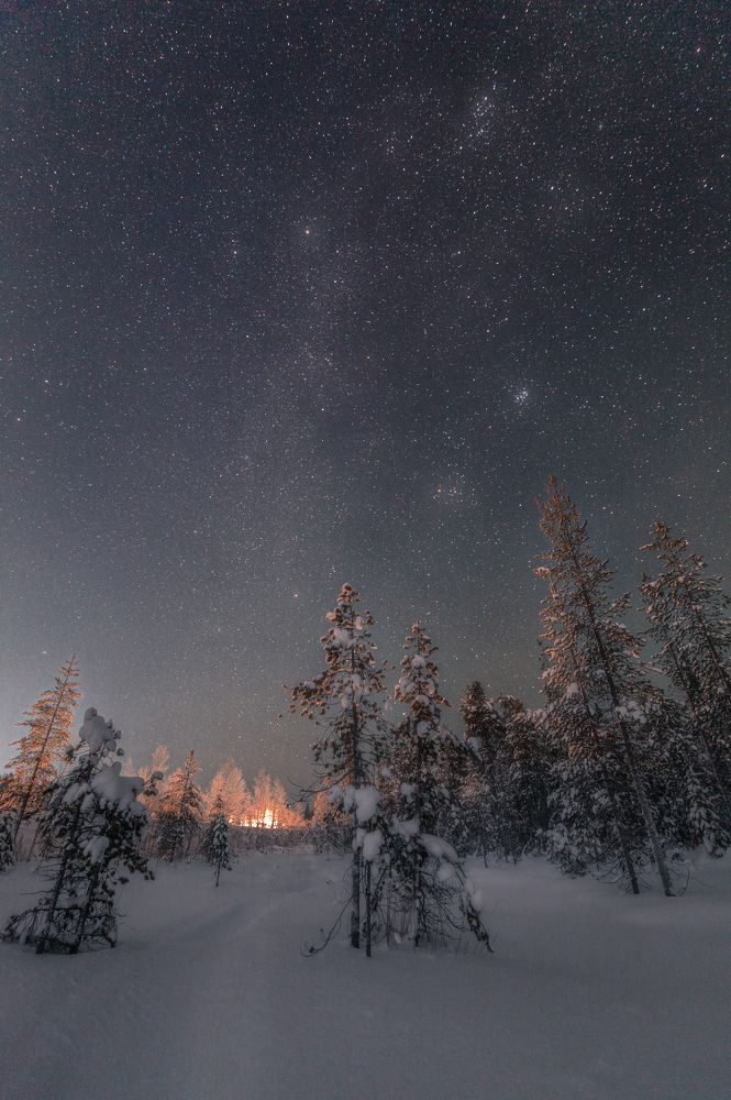 Фотография автора Bushmakin Egor