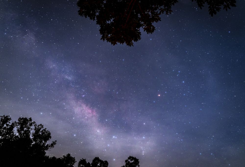 Фотография автора Dang Le