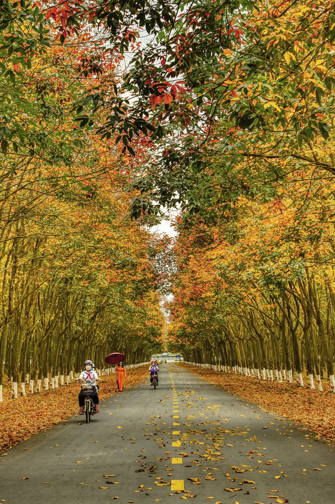 Photograph by Giang Nguyen Thi Tuyet