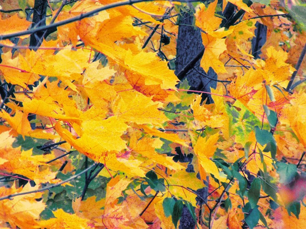 Photograph by Савоцкий Роман