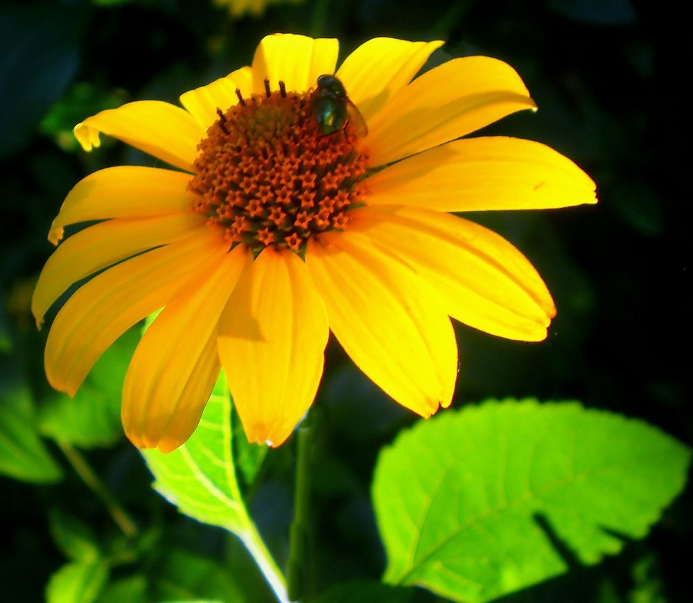 Photograph by Савоцкий Роман